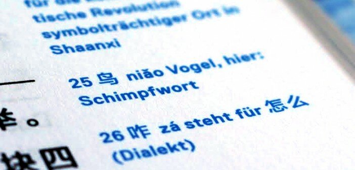 Chinesisch im Internet: Sei gewappnet beleidigung
